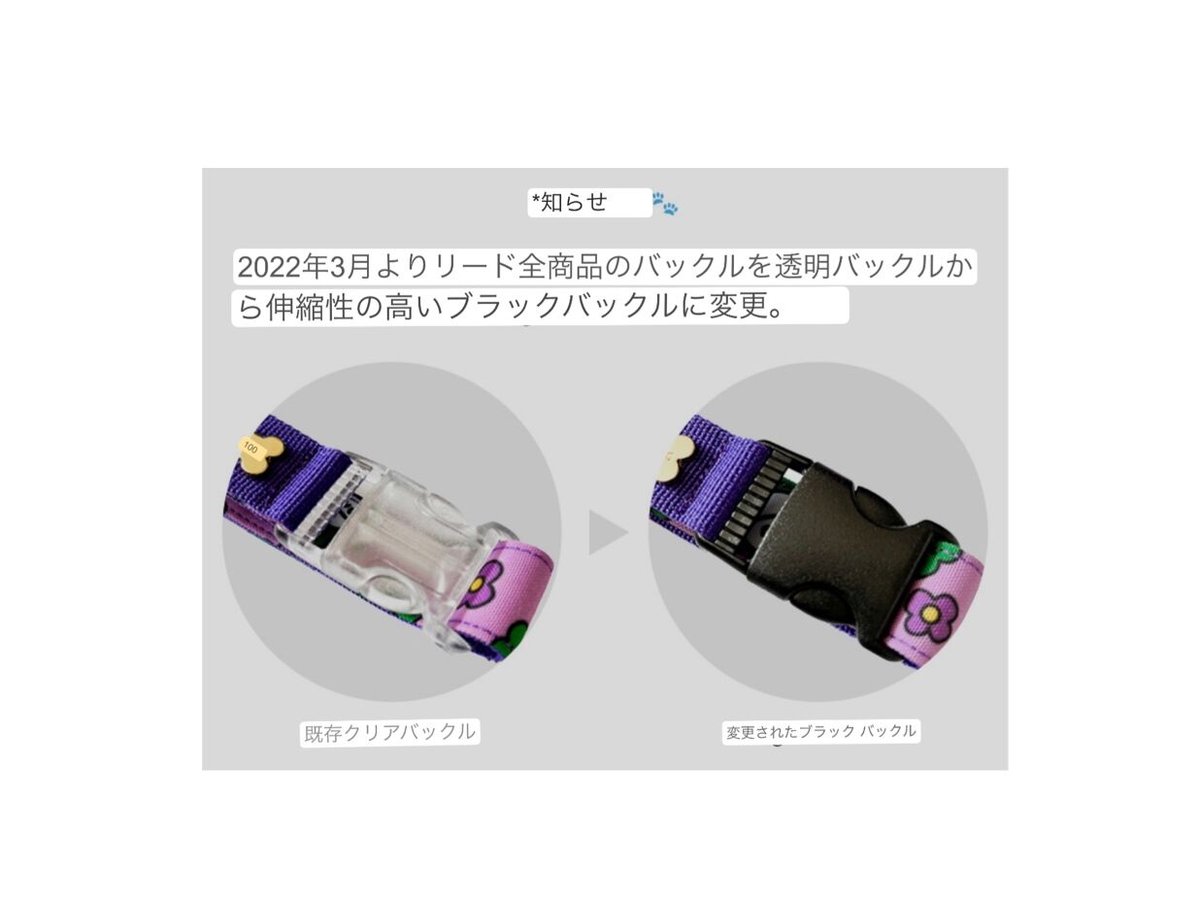 Charile Smile/チャリルスマイル カラー(首輪)S〜XL/Wide | NORADOG