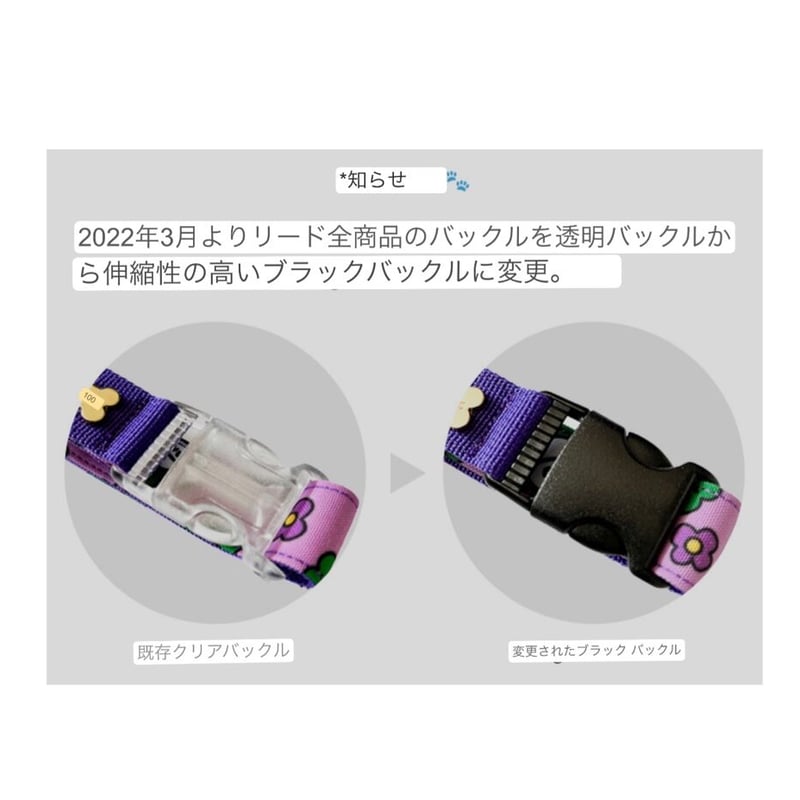 期間限定値下げ中！美品　ディジーリン スイートサマーメモリー　40 ブラック 期間限定値下げ中！美品 ディジーリン スイートサマーメモリー