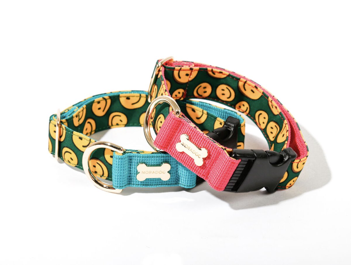 Charile Smile/チャリルスマイル カラー(首輪)S〜XL/Wide | NORADOG