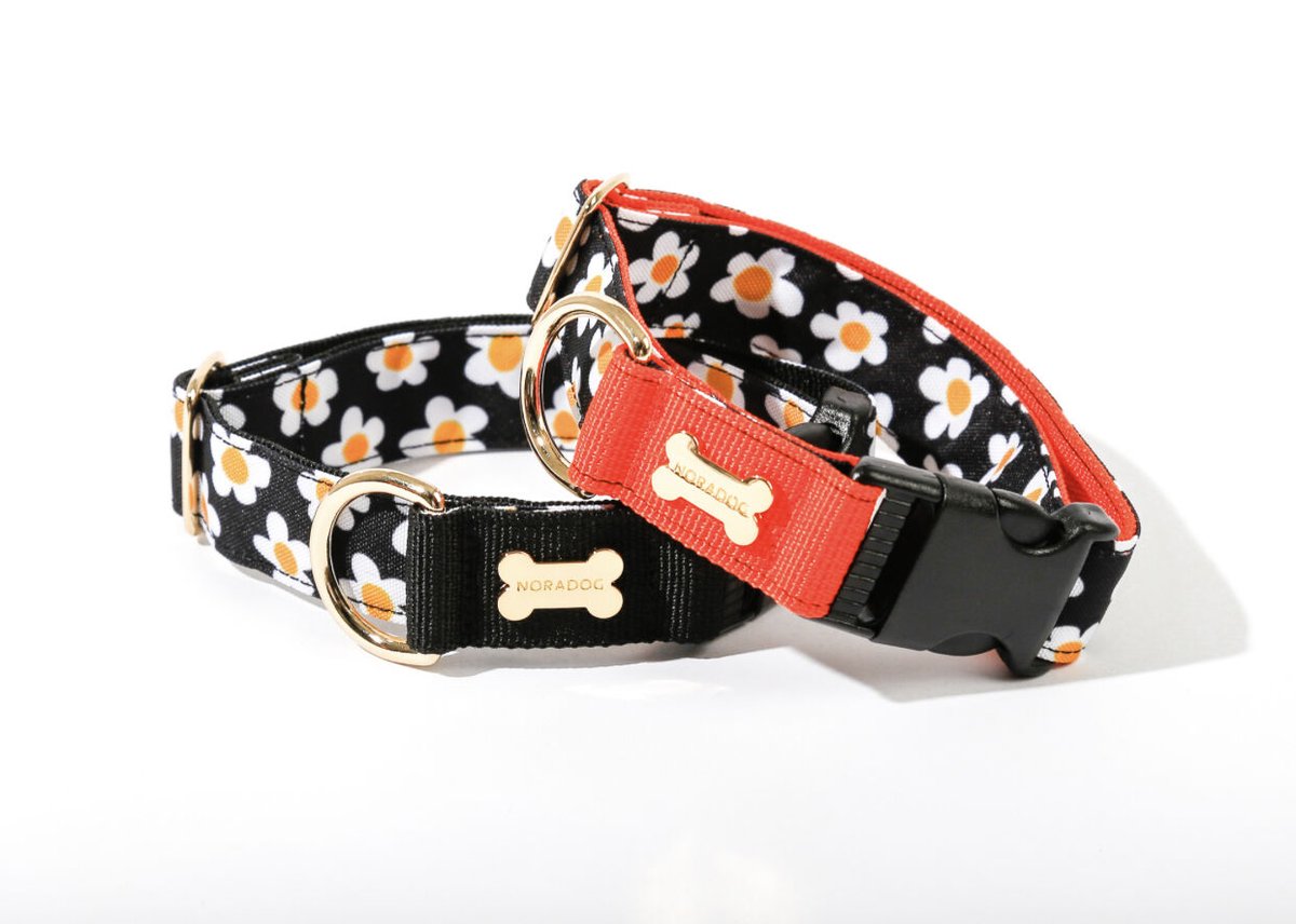 Daisy/デイジー カラー(首輪)S〜XL/Wide | NORADOG Japan