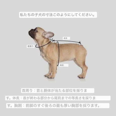 Charile Smile/チャーリースマイル クールラッシュウェアハーネス　S~XL