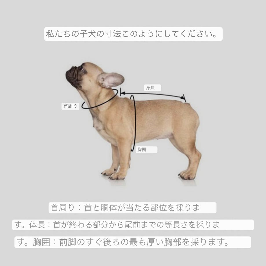 6448871ade31fb002895f269