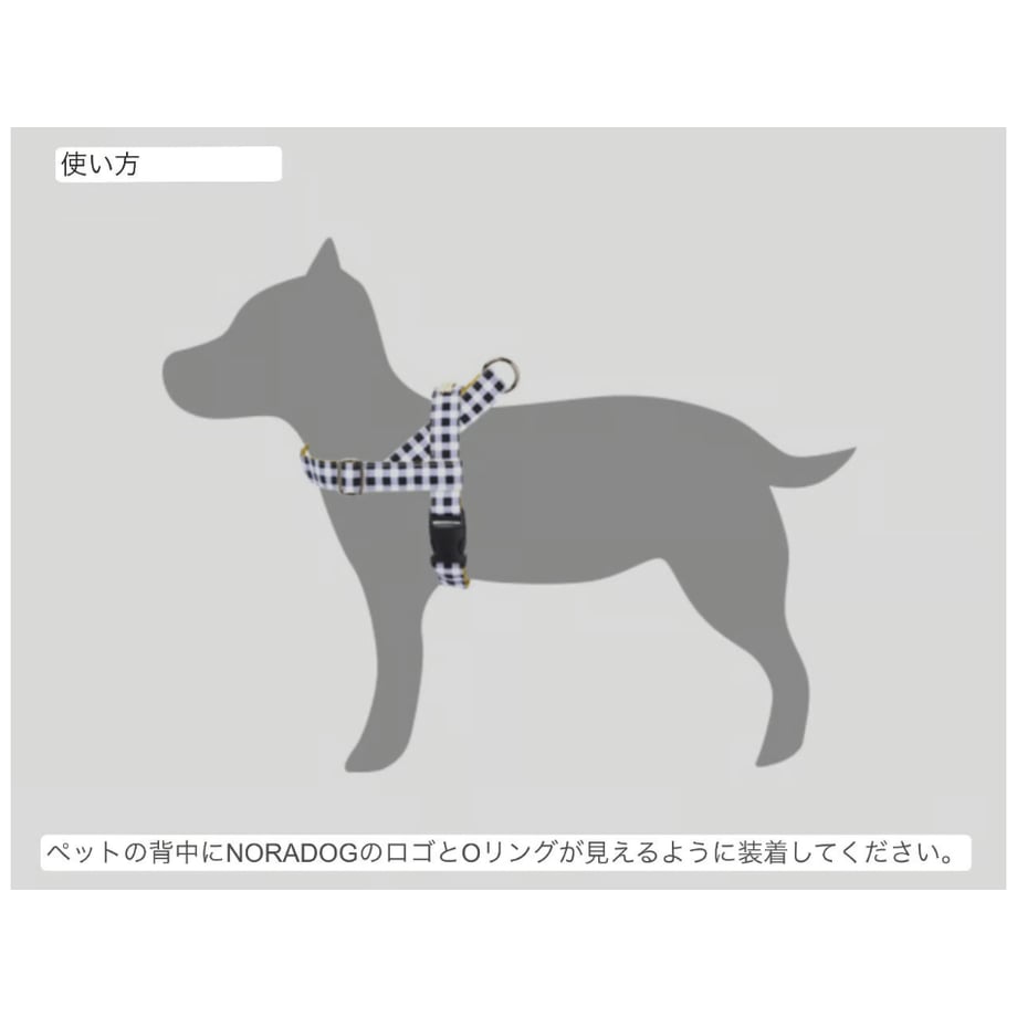 643ff75366372a0031df9075