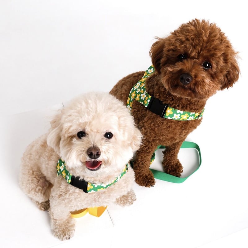 NORADOG ピクニックイージーハーネス(大型犬 XL~3XL) | NORADOG Japan