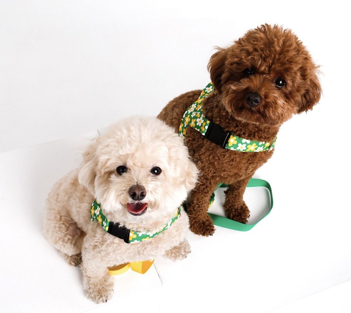 NORADOG ピクニックイージーハーネス(大型犬 XL~3XL) | NORADOG Japan