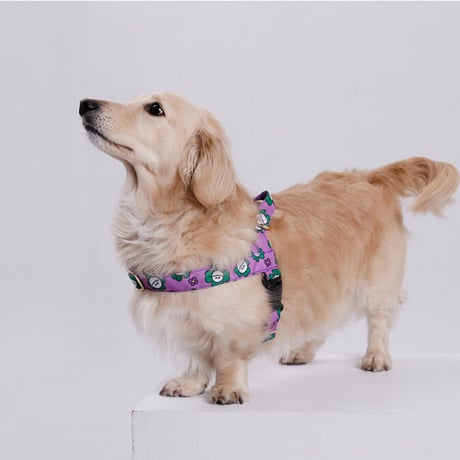 Mr.Clover/Mr.クローバー イージーハーネス 小型犬・中型犬 S〜L
