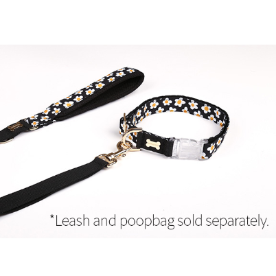 Daisy/デイジー カラー(首輪)S〜XL/Wide | NORADOG Japan