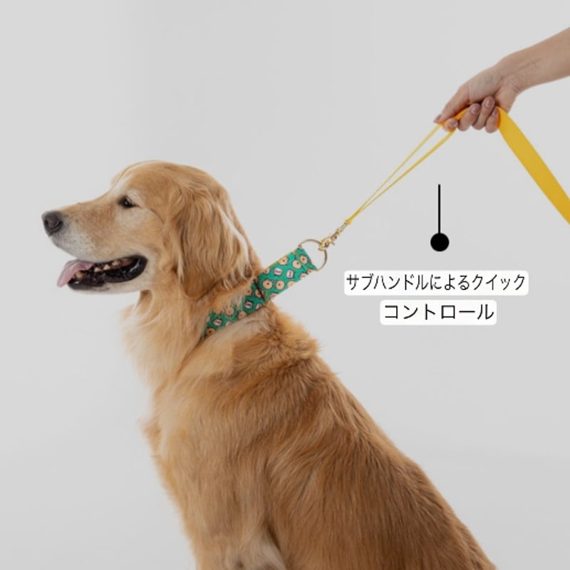Teddy C マーチンゲール（ハーフチョーク）カラー首輪 S〜XL | NORADOG