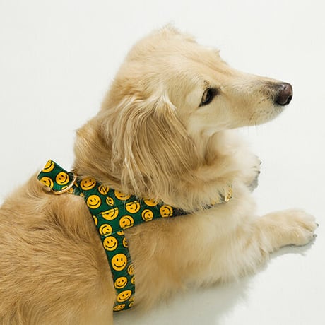 Charile Smile/チャリルスマイル イージーハーネス 小型犬・中型犬 S〜L