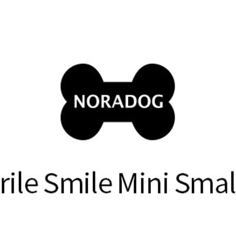 Charile smileミニスモールバック