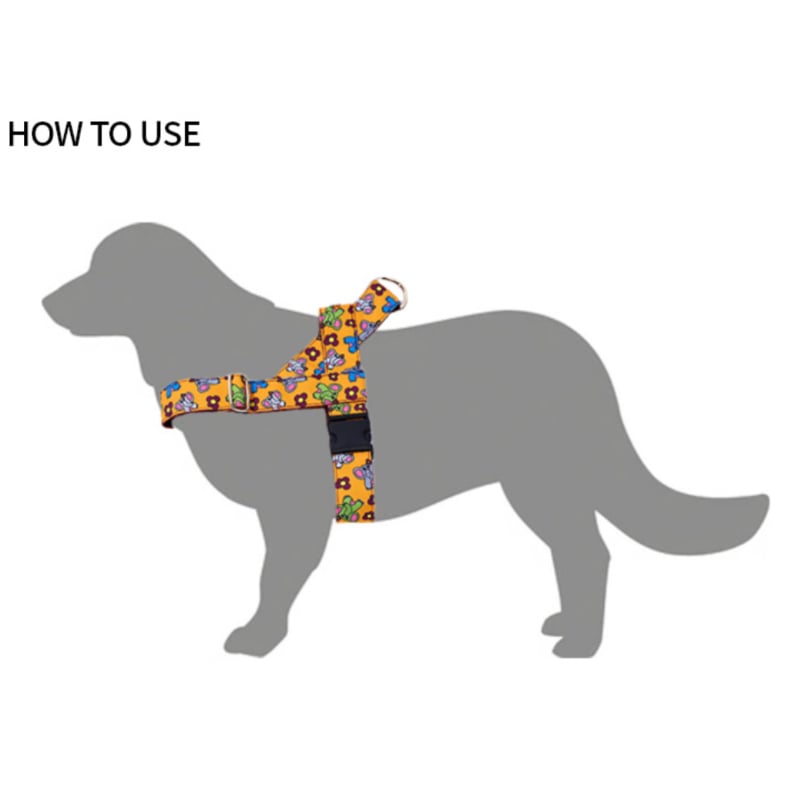 NORADOG 犬用リード&ハーネスMr.Clover/Mr.クローバー 楽天市場】NORADOG ノラドッグ Mr.Clover/ミスタークローバー