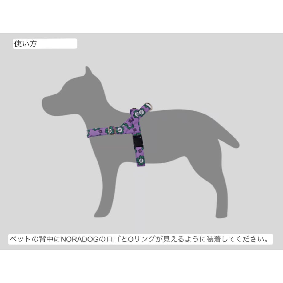 643f6076941bd600282003ad