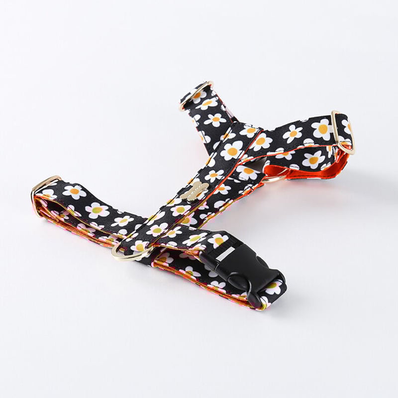 Daisy/デイジー H(エイチ)ハーネス XS〜L | NORADOG