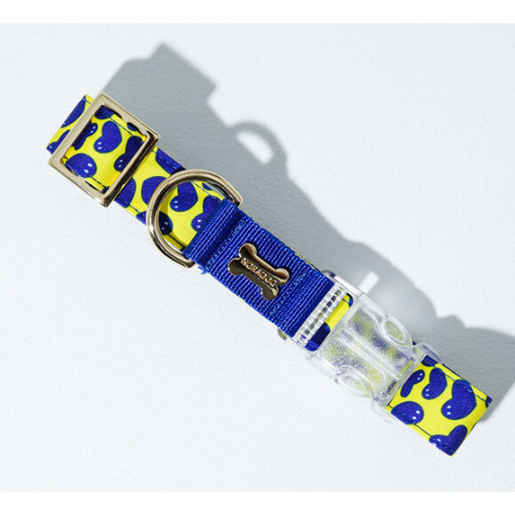 Pier39/ピア39 カラー(首輪)S〜XL/Wide | NORADOG Japan