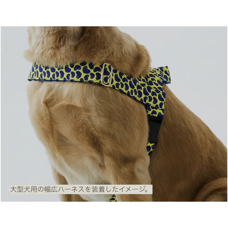 NORADOG Pier39/ピア39 イージーハーネス小型犬・中型犬 S〜L