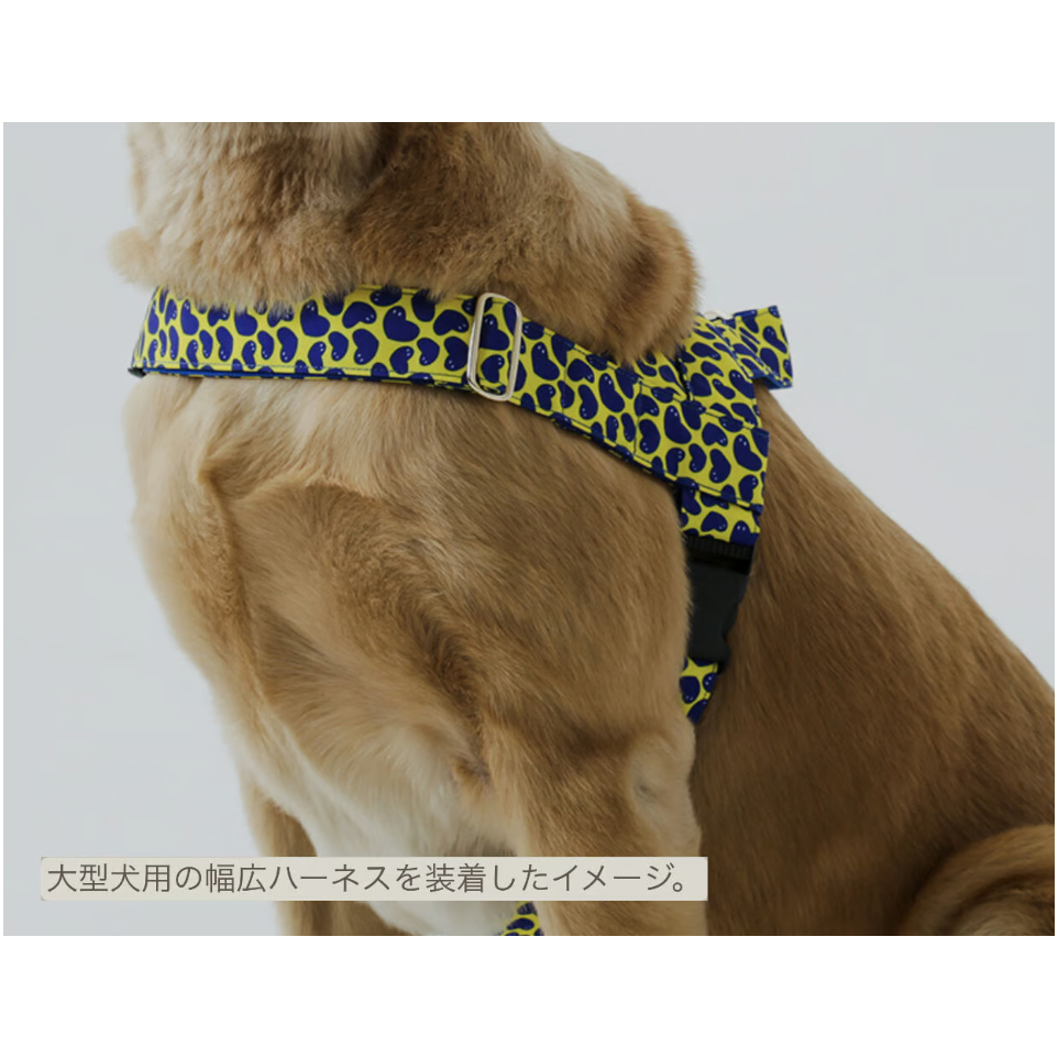 NORADOG Pier39/ピア39 イージーハーネス小型犬・中型犬 S〜L