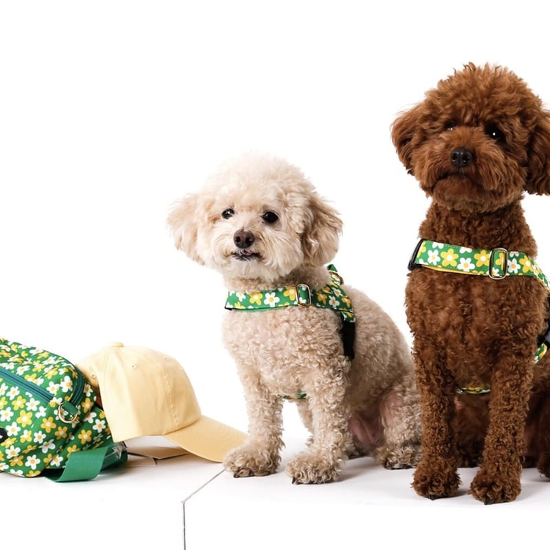 NORADOG ピクニックイージーハーネス(大型犬 XL~3XL) | NORADOG