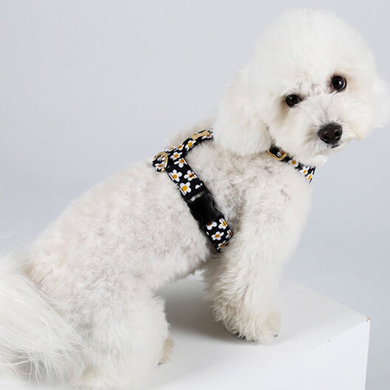 Daisy/デイジー H(エイチ)ハーネス XS〜L | NORADOG