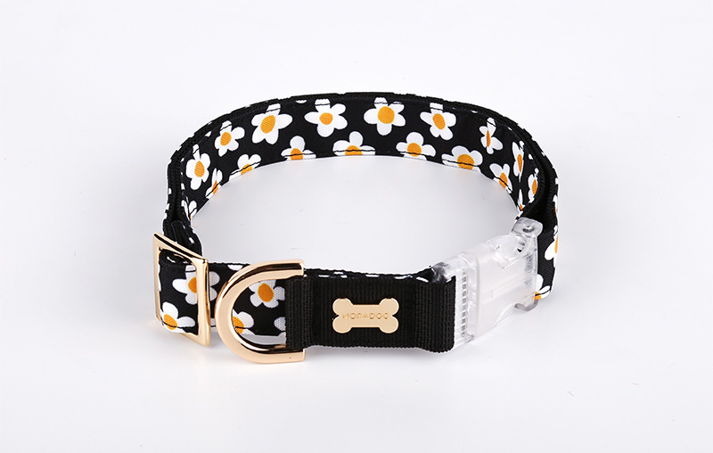 Daisy/デイジー カラー(首輪)S〜XL/Wide | NORADOG Japan