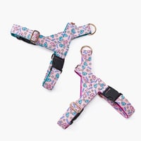 HARU／ハル　イージーハーネス　Easy harness S〜L