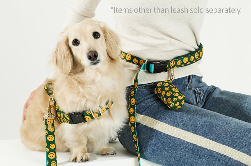 Charlie Smileチャーリースマイル ベルトリード7kg以下（全柄3WAY装着