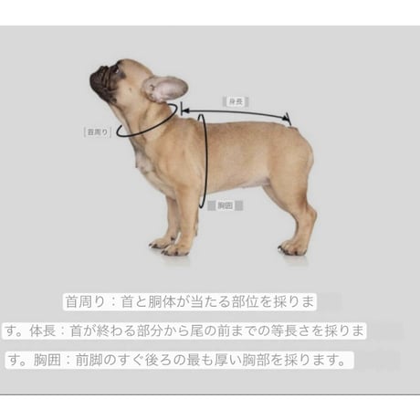 Pier39/ピア39 イージーハーネス大型犬 XL~3XL