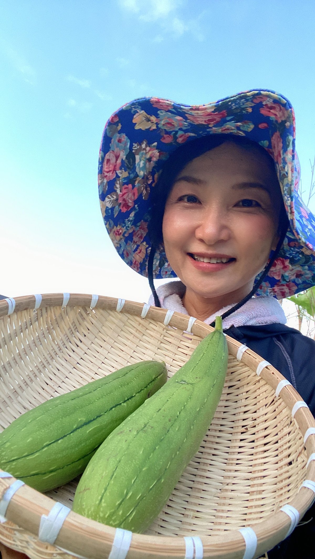 自家栽培　栽培期間中農薬不使用　食用ヘチマ　注文用 農薬不使用。無肥料、自然農法ヘチマ 1本(約300g) | ゆかり商店