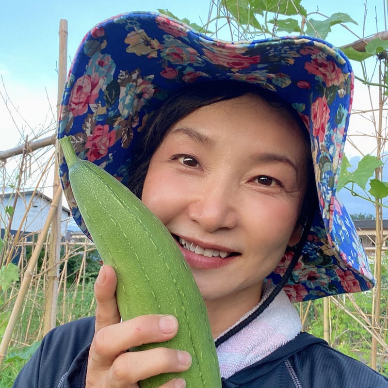 自家栽培　栽培期間中農薬不使用　食用ヘチマ　注文用 農薬不使用。無肥料、自然農法ヘチマ 1本(約300g) | ゆかり商店