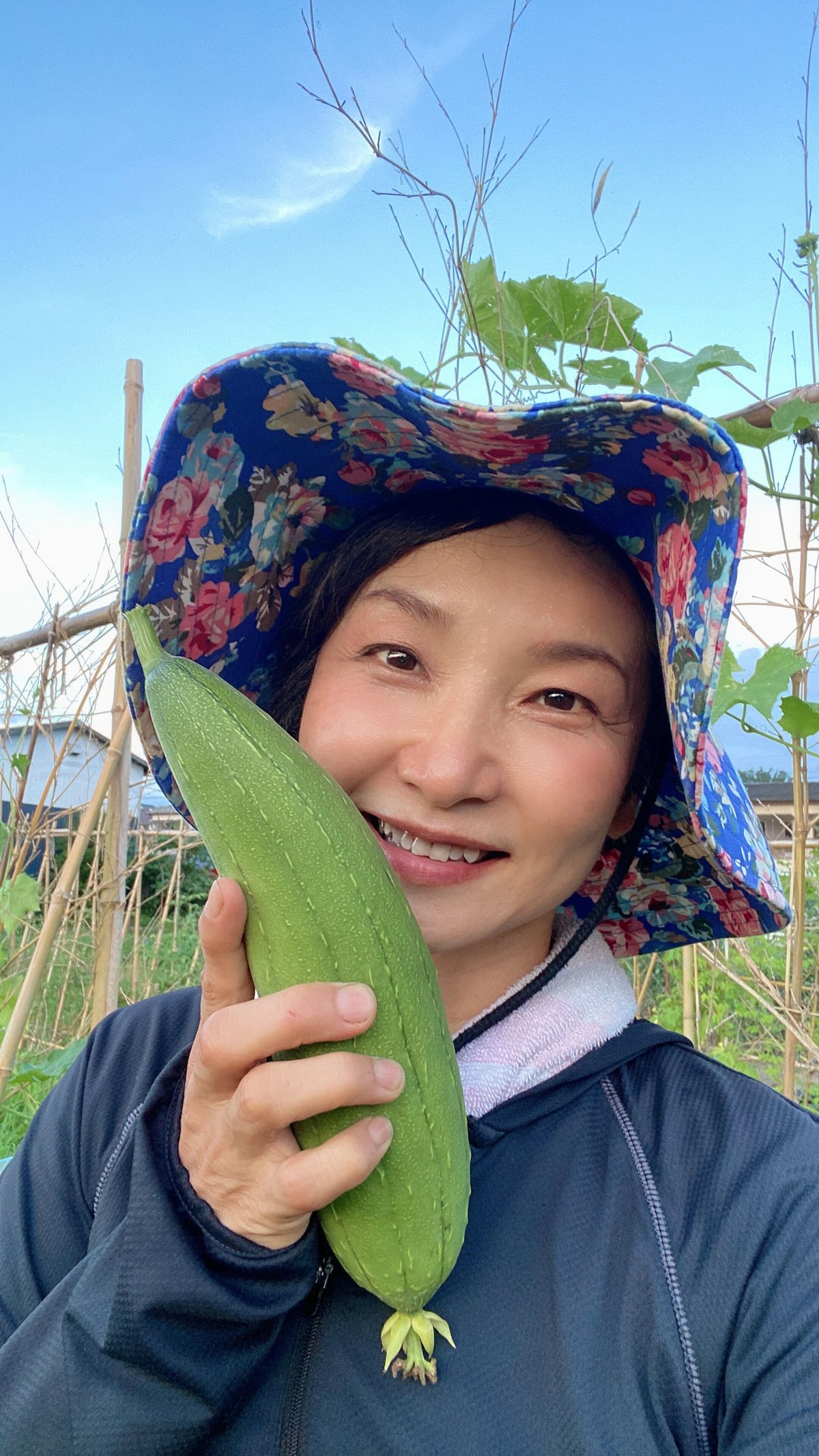 農薬不使用。無肥料、自然農法ヘチマ 1本(約300g) | ゆかり商店