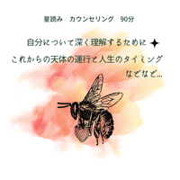 星読み鑑定　90分