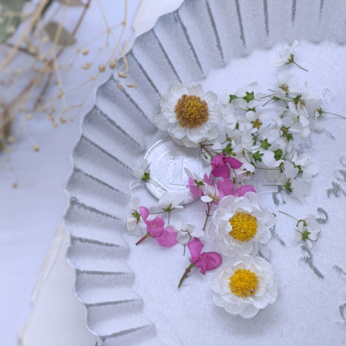 ✿3種類の花の種✿ - 花