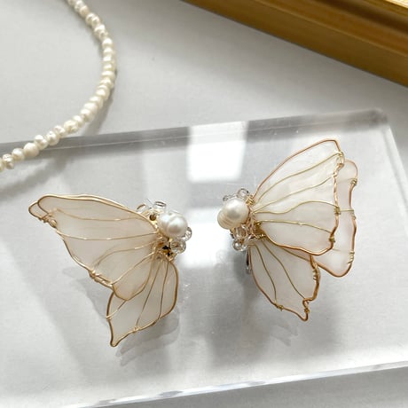 White butterfly