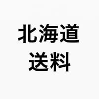 追加送料