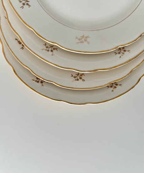 vintage plate Villeroy&Boch Ⅲ ヴィンテージ プレート ビレロイ&ボッホ