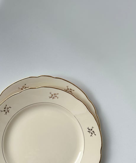 vintage plate Villeroy&Boch Ⅲ ヴィンテージ プレート ビレロイ&ボッホ