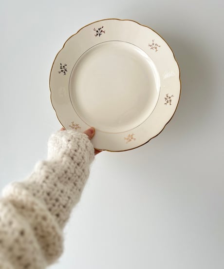 vintage plate Villeroy&Boch Ⅲ ヴィンテージ プレート ビレロイ&ボッホ
