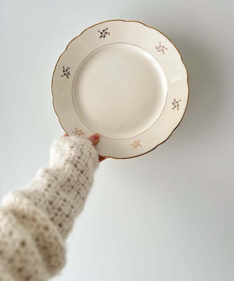 vintage plate Villeroy&Boch Ⅲ ヴィンテージ プレート ビレロイ&