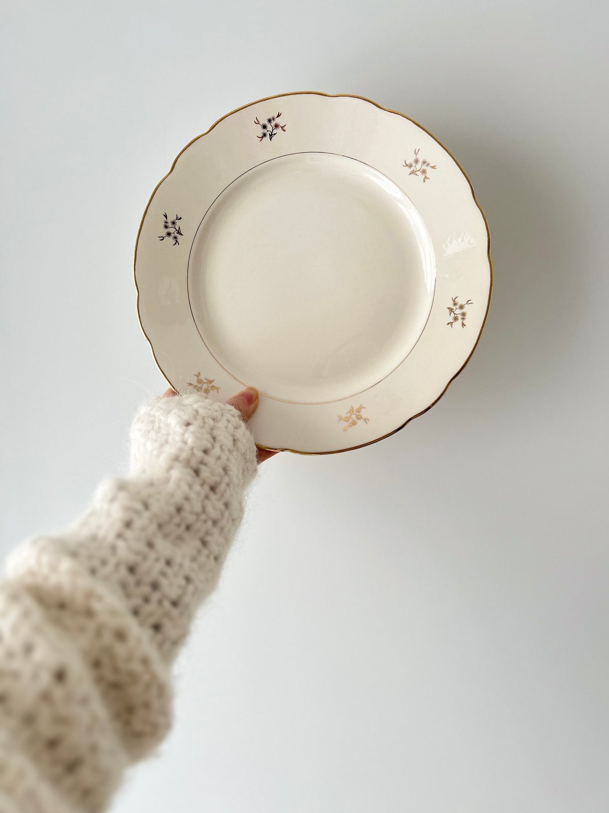 vintage plate Villeroy&Boch Ⅲ ヴィンテージ プレート ビレロイ&
