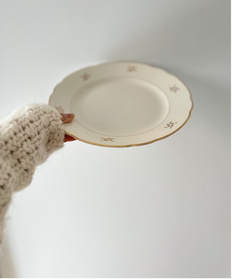 vintage plate Villeroy&Boch Ⅲ ヴィンテージ プレート ビレロイ&ボッホ
