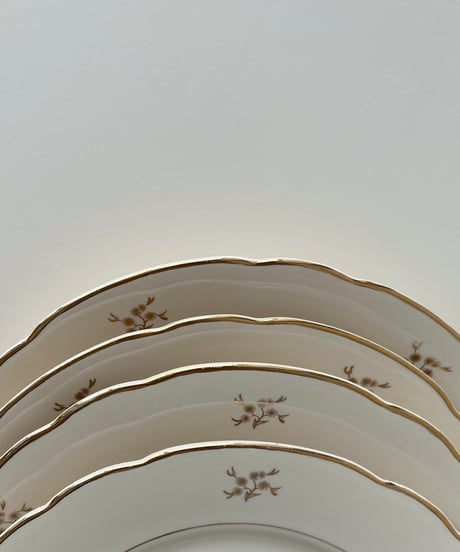 vintage plate Villeroy&Boch Ⅲ ヴィンテージ プレート ビレロイ&ボッホ