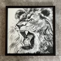 Lion NO.1