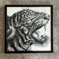 Tiger NO.3