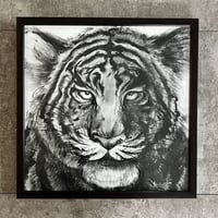Tiger NO.2