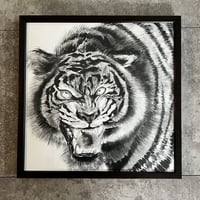 Tiger NO.1