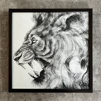 Lion NO.2