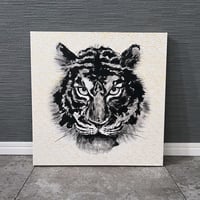 虎