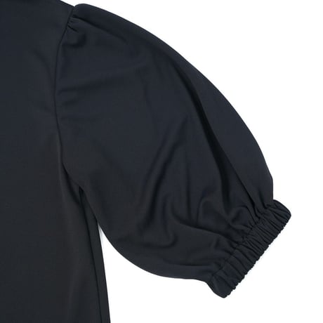 Maison Neude【 pinmesh balloon-sleeve mockneck 】