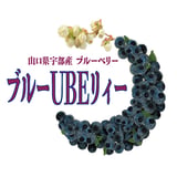 Blueberry's STORE