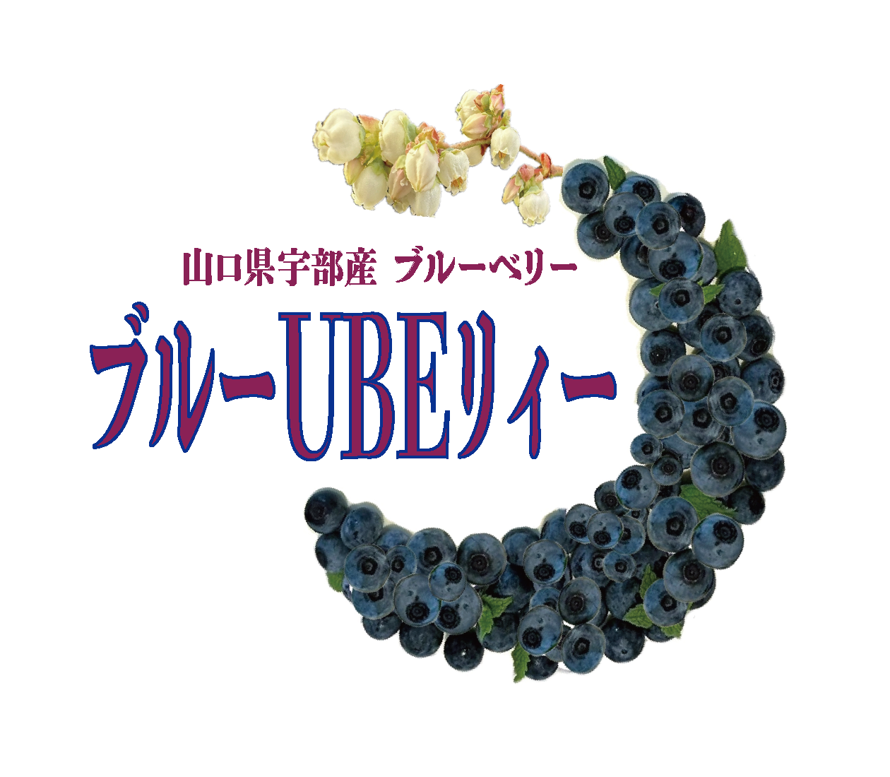 Blueberry's STORE