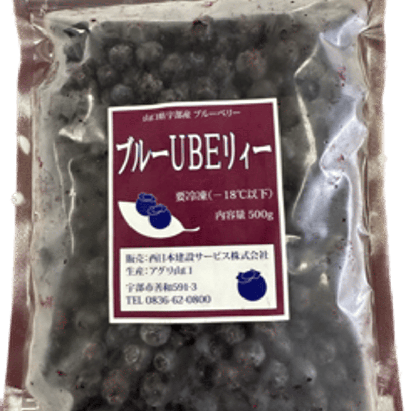 山口県宇部産 急速冷凍ブルーベリー 500g（北海道・沖縄・離島